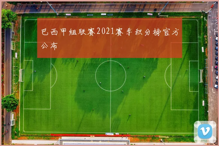 巴西甲组联赛2021赛季积分榜官方公布